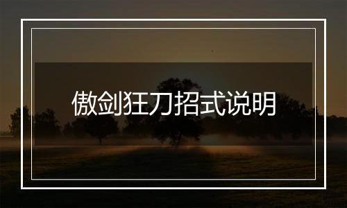 傲剑狂刀招式说明