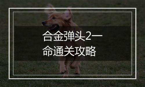合金弹头2一命通关攻略