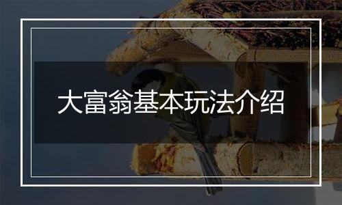 大富翁基本玩法介绍