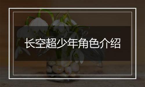 长空超少年角色介绍