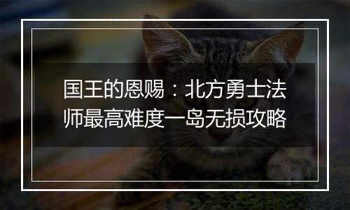 国王的恩赐：北方勇士法师最高难度一岛无损攻略