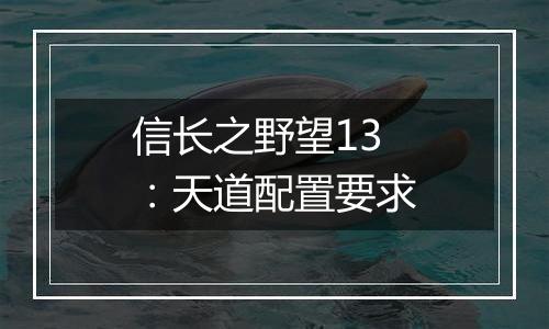 信长之野望13：天道配置要求