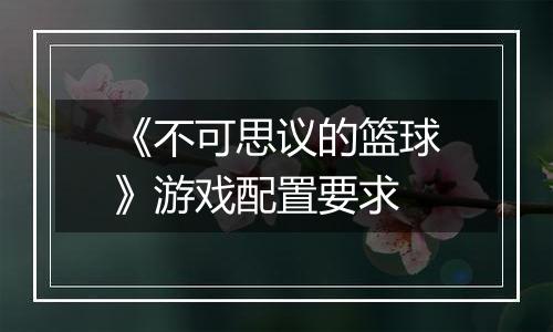 《不可思议的篮球》游戏配置要求