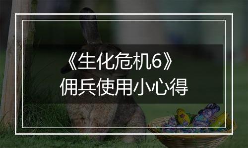 《生化危机6》佣兵使用小心得