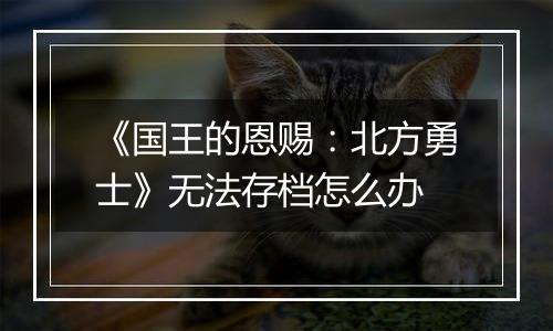 《国王的恩赐：北方勇士》无法存档怎么办