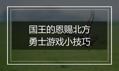 国王的恩赐北方勇士游戏小技巧