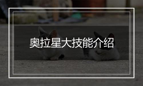 奥拉星大技能介绍