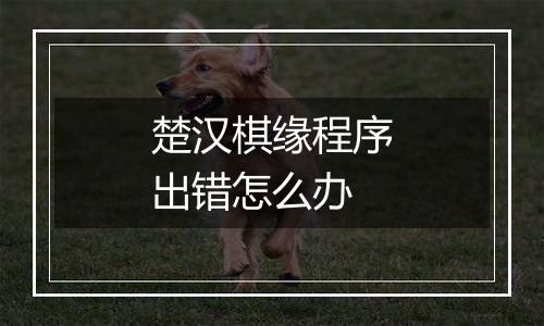 楚汉棋缘程序出错怎么办