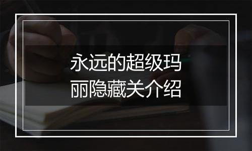 永远的超级玛丽隐藏关介绍