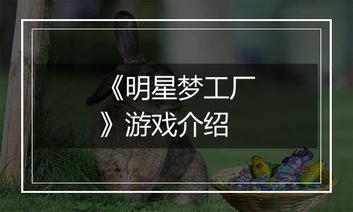 《明星梦工厂》游戏介绍