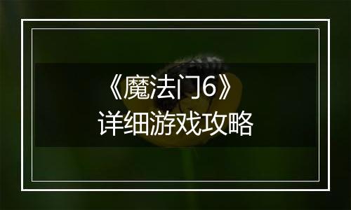 《魔法门6》详细游戏攻略