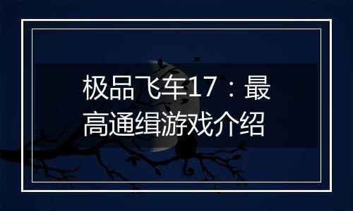 极品飞车17：最高通缉游戏介绍