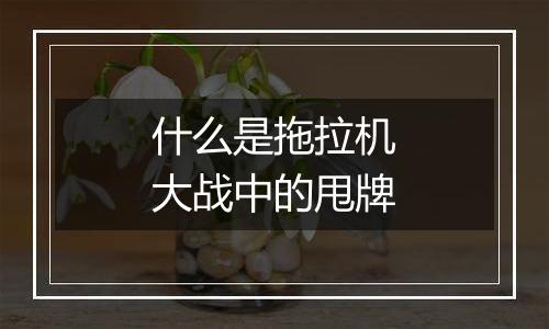 什么是拖拉机大战中的甩牌