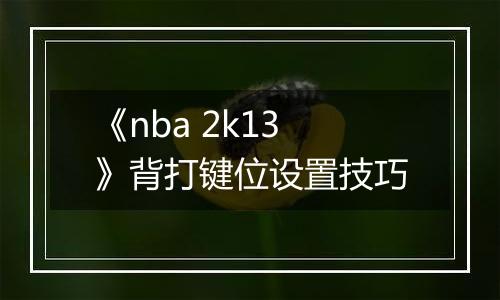 《nba 2k13》背打键位设置技巧