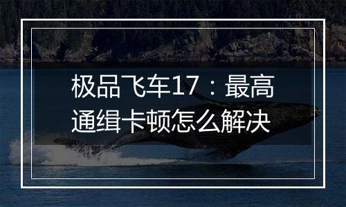 极品飞车17：最高通缉卡顿怎么解决