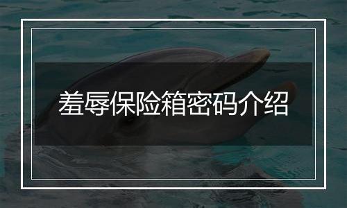 羞辱保险箱密码介绍