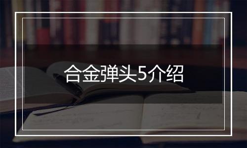 合金弹头5介绍