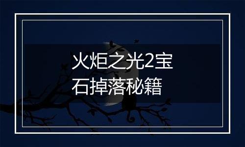 火炬之光2宝石掉落秘籍