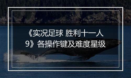 《实况足球 胜利十一人9》各操作键及难度星级