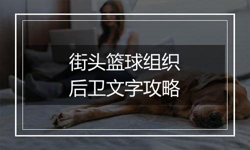街头篮球组织后卫文字攻略