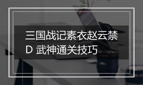 三国战记素衣赵云禁D 武神通关技巧