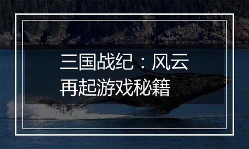 三国战纪：风云再起游戏秘籍