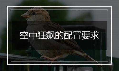 空中狂飙的配置要求