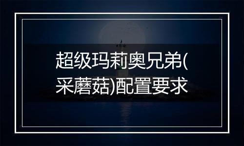 超级玛莉奥兄弟(采蘑菇)配置要求