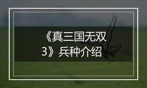 《真三国无双3》兵种介绍