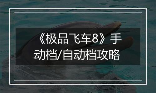 《极品飞车8》手动档/自动档攻略