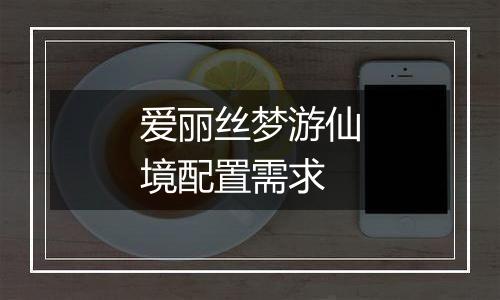 爱丽丝梦游仙境配置需求