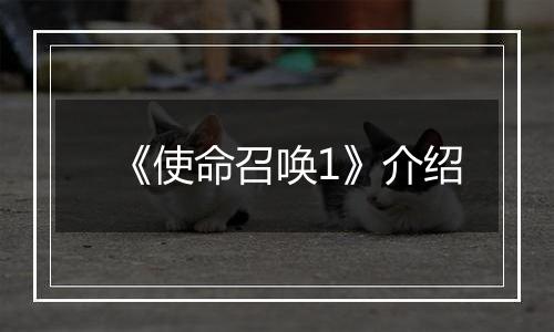 《使命召唤1》介绍