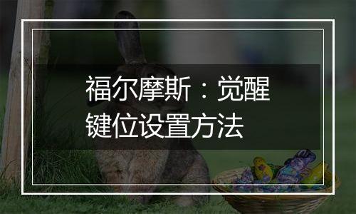 福尔摩斯：觉醒键位设置方法