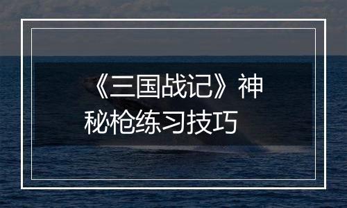 《三国战记》神秘枪练习技巧