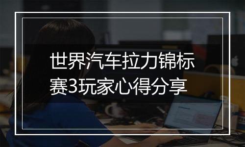 世界汽车拉力锦标赛3玩家心得分享