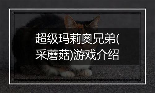 超级玛莉奥兄弟(采蘑菇)游戏介绍