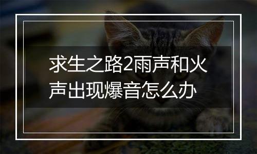 求生之路2雨声和火声出现爆音怎么办