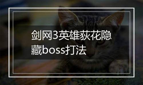 剑网3英雄荻花隐藏boss打法