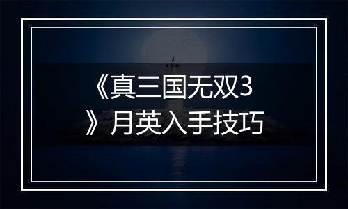 《真三国无双3》月英入手技巧