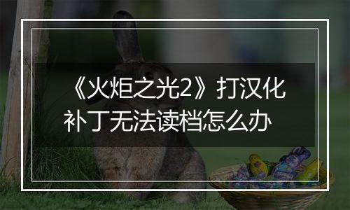 《火炬之光2》打汉化补丁无法读档怎么办