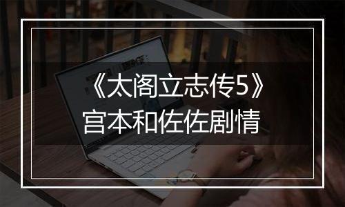 《太阁立志传5》宫本和佐佐剧情