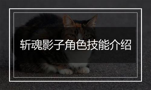 斩魂影子角色技能介绍