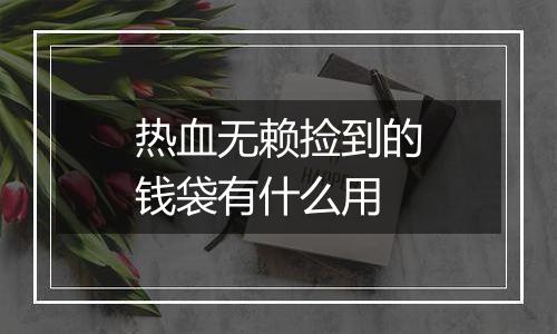 热血无赖捡到的钱袋有什么用