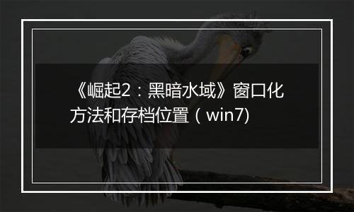 《崛起2：黑暗水域》窗口化方法和存档位置（win7)