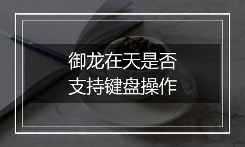 御龙在天是否支持键盘操作