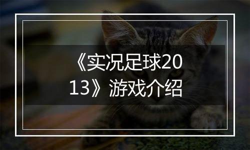 《实况足球2013》游戏介绍