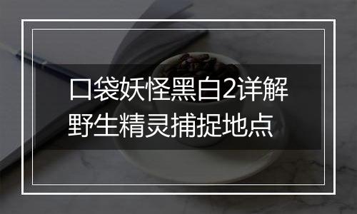 口袋妖怪黑白2详解野生精灵捕捉地点