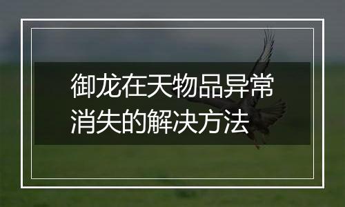 御龙在天物品异常消失的解决方法