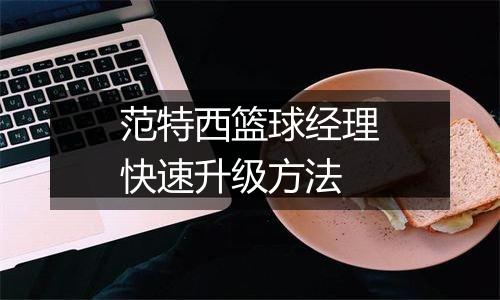 范特西篮球经理快速升级方法