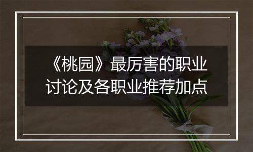 《桃园》最厉害的职业讨论及各职业推荐加点